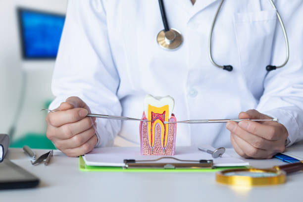 Best Knocked-Out Tooth (Avulsed Tooth) Treatment in Farley, IA